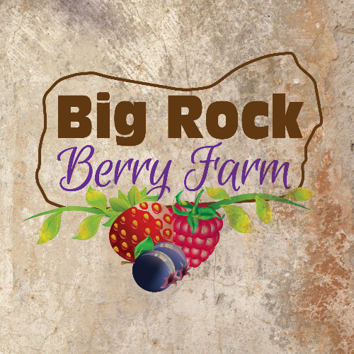 Big Rock Berry Farm Logo