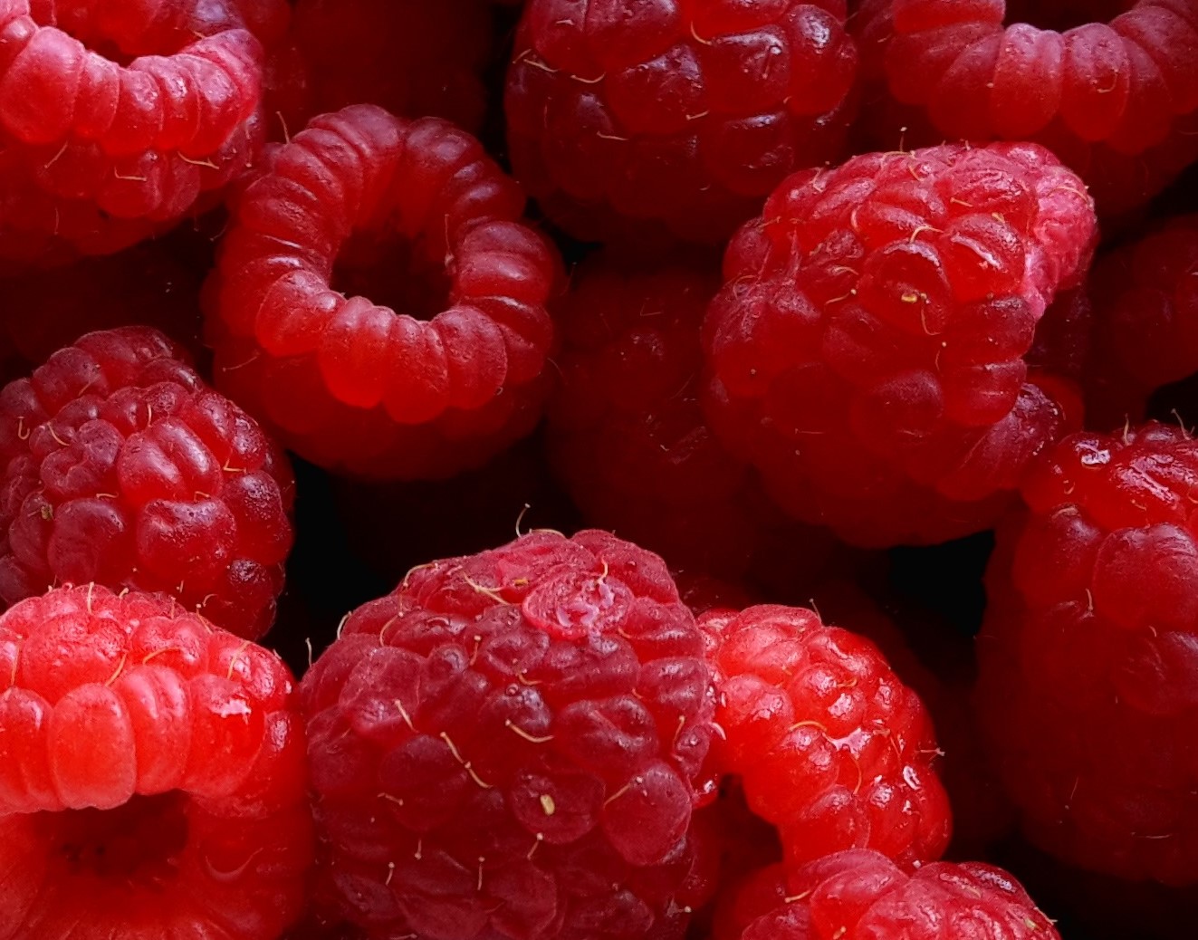 Raspberries | Big Rock Berry Farm